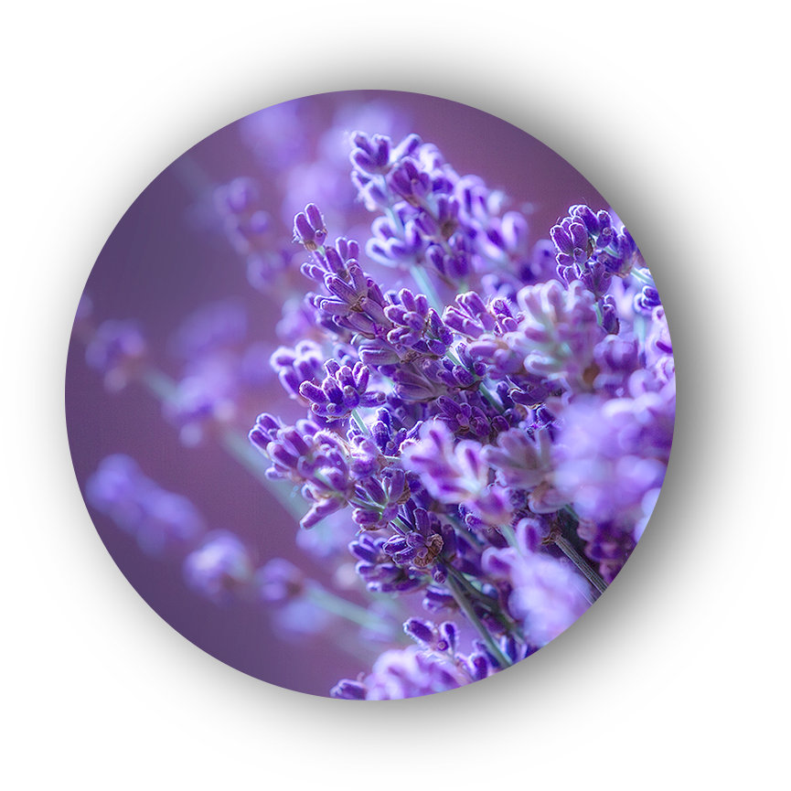 slNcircle01